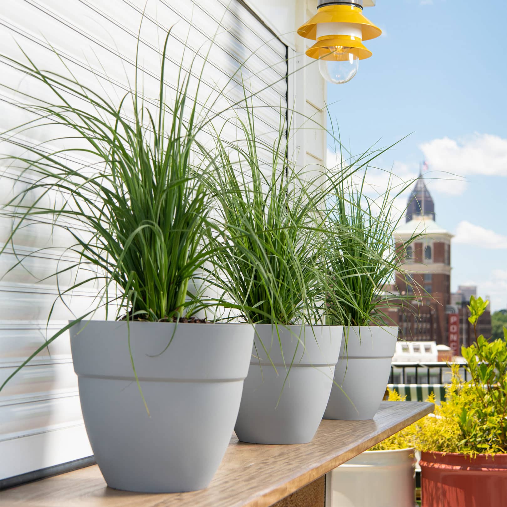 bar top with small ella planters