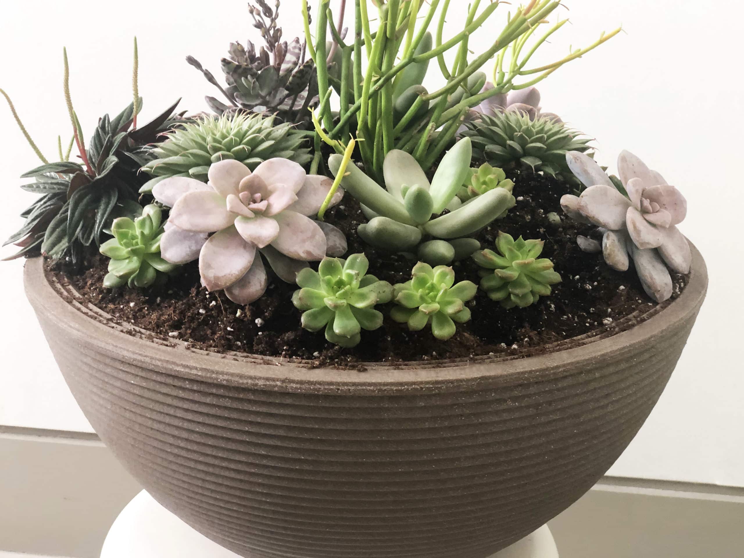 Long-Lasting Arrangement for Mom