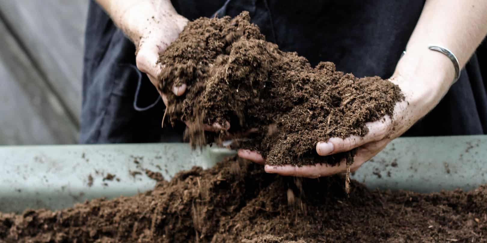 Nest Planter with soil