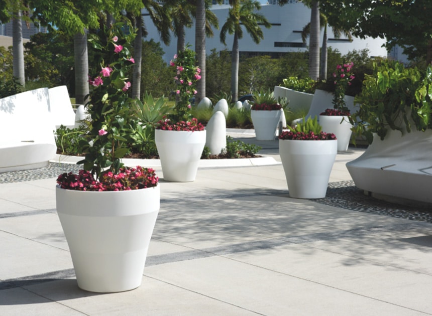 rim planter