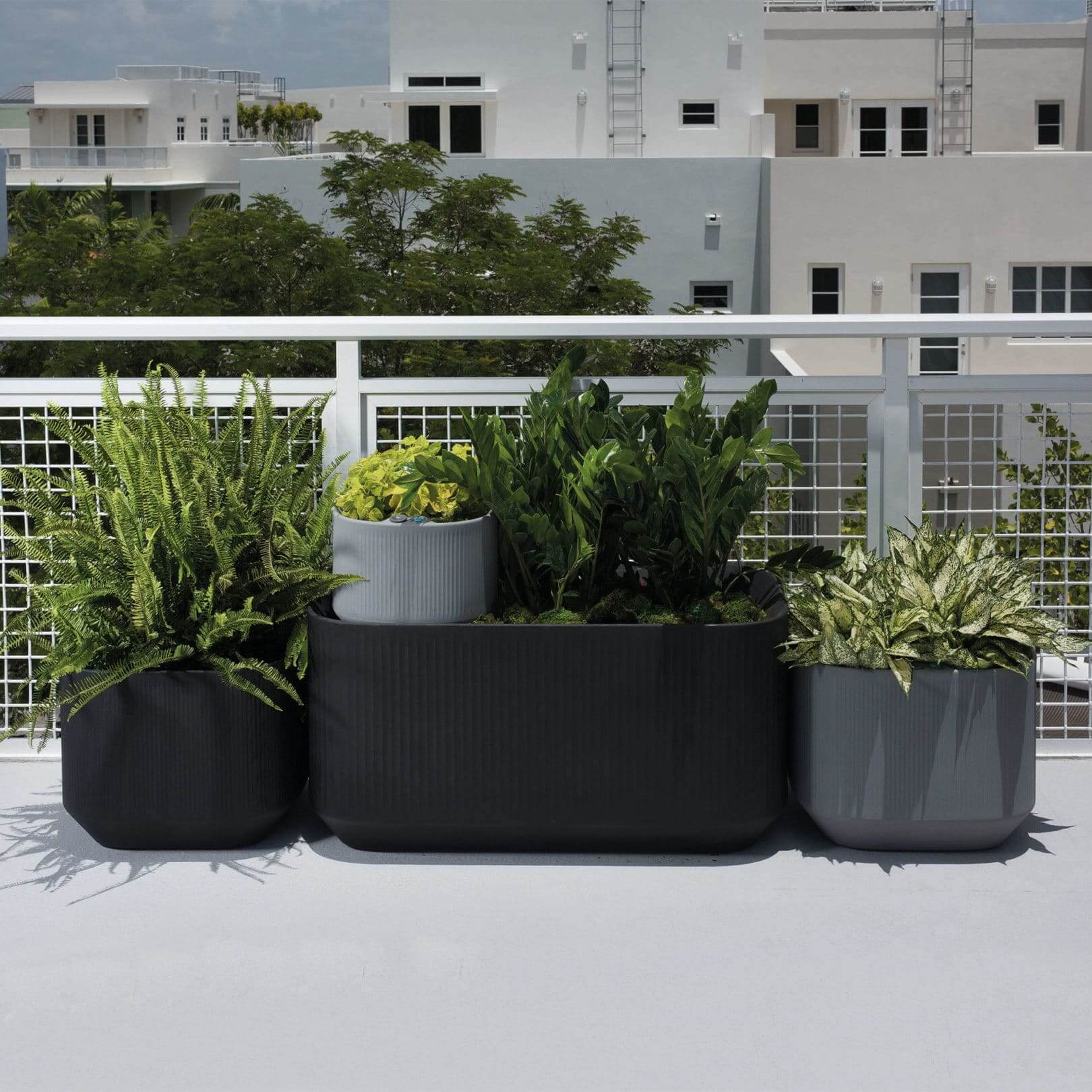 Rooftop with Mod Planters