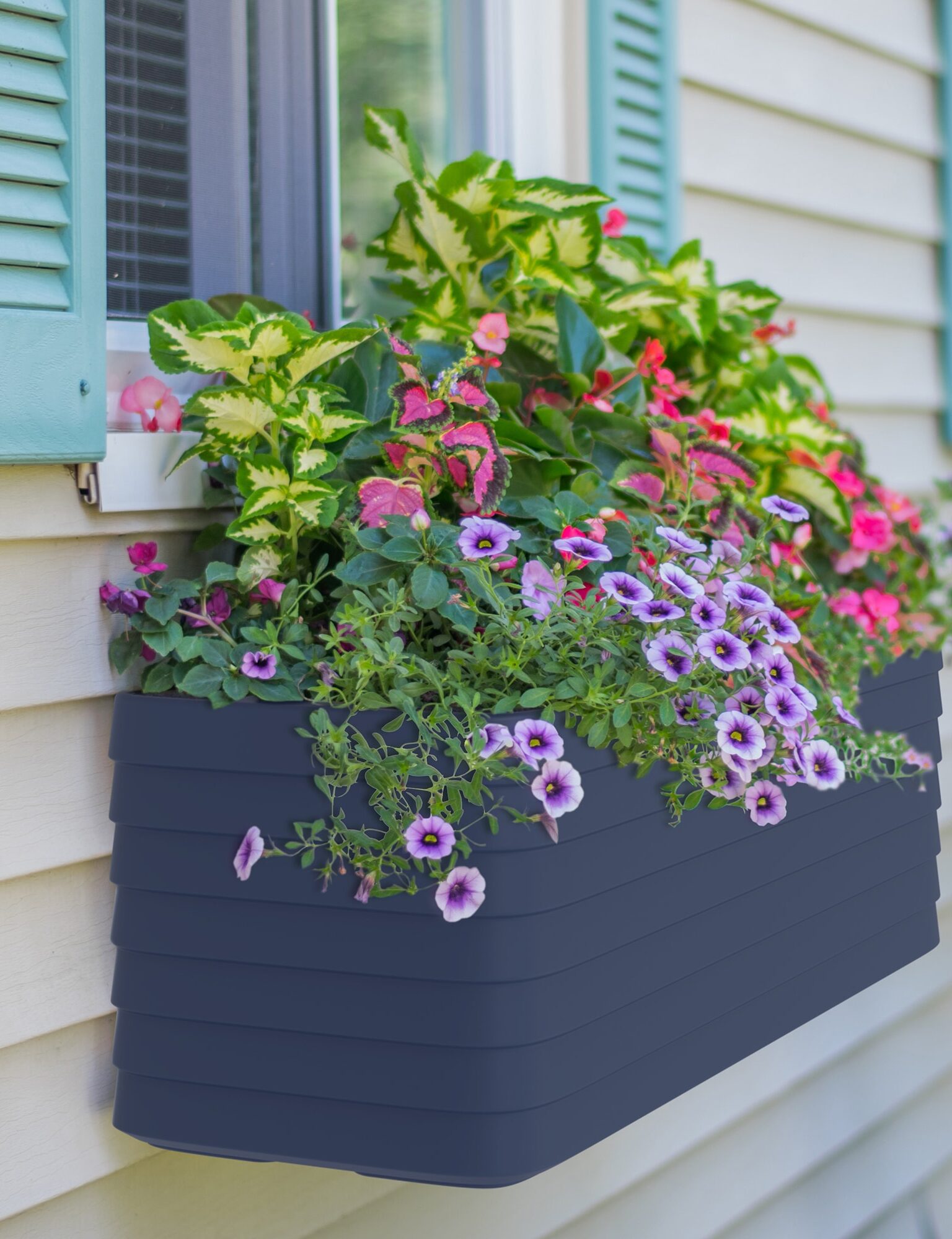 Self watering window box with beautiful Spring flowers