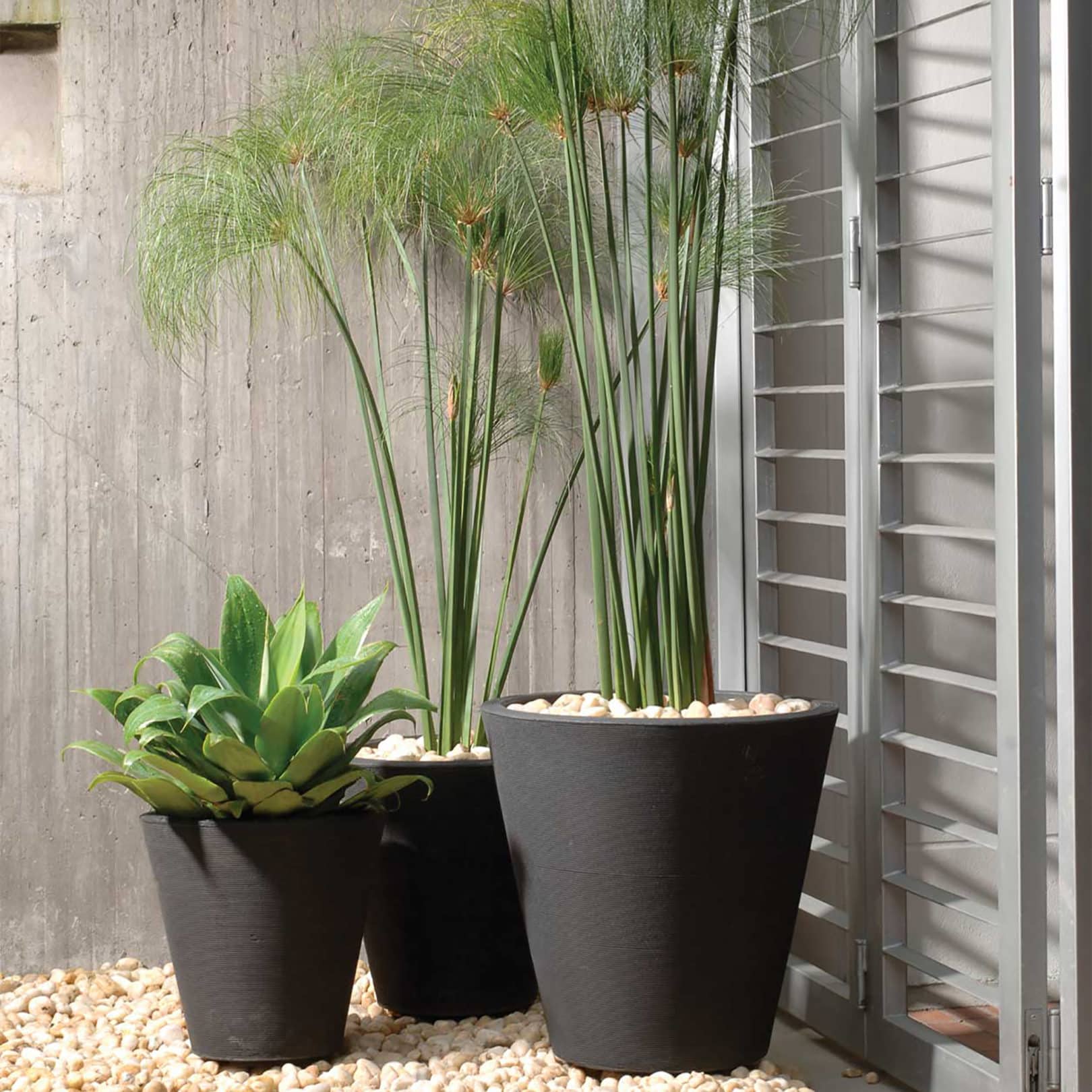 Trio of Potted Madison Planters