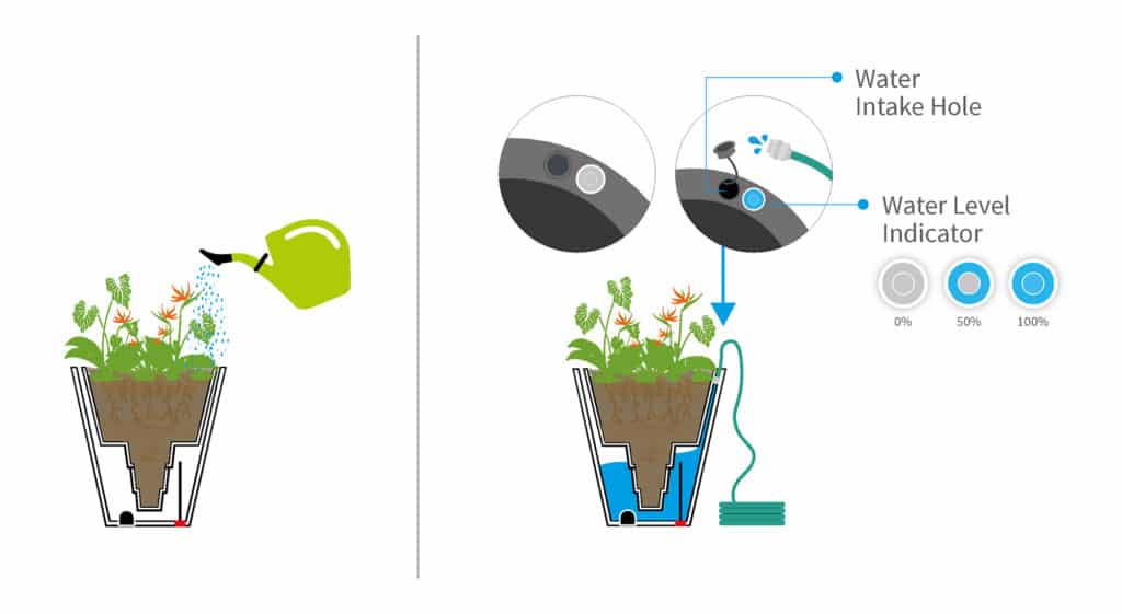 Filling a self watering container with water.