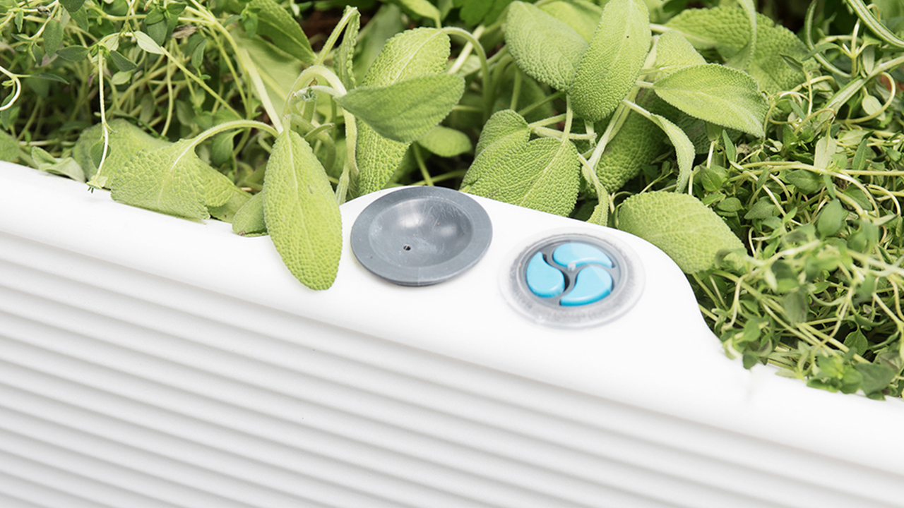 Introducing TruDrop, a revolutionary self-watering system