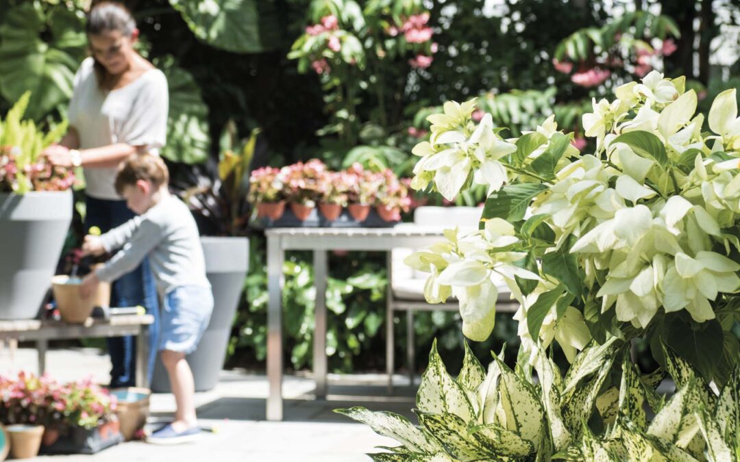 Getting your Crescent Garden TruDrop One planter Ready for Re-potting